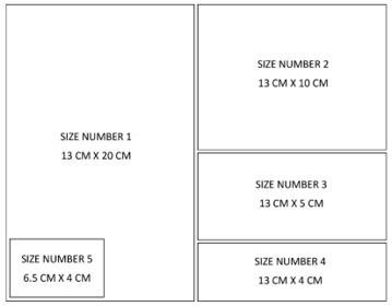 Figure1